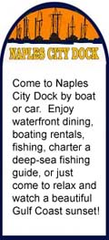 Activities at Naples City Dock